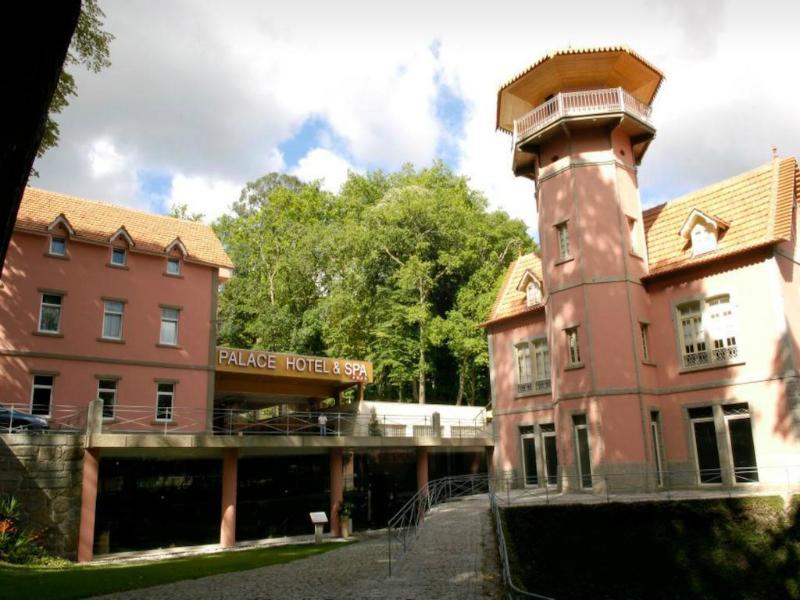 Palace Hotel & Spa - Termas De Sao Vicente Penafiel Zewnętrze zdjęcie